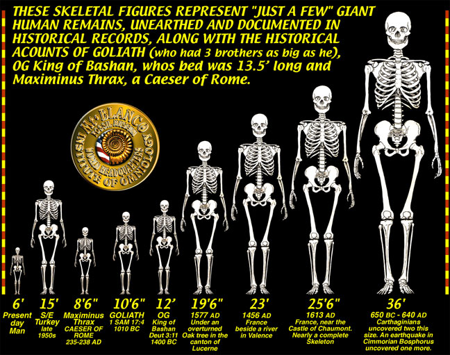 https://rielpolitik.com/wp-content/uploads/2015/06/a1e11-giant-skeletons-chart.jpg