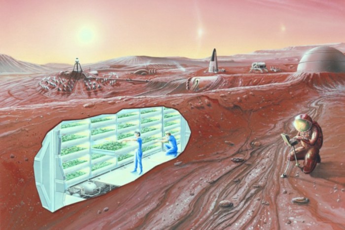 Laura Eisenhower claims she was invited to join a colony on Mars