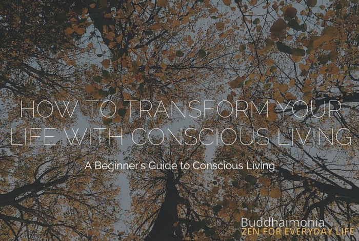 How to Transform Your Life with Conscious Living via Buddhaimonia.com