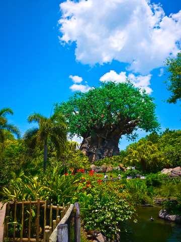 The Ultimate Guide to Mastering Your Life Through Mindful Consumption